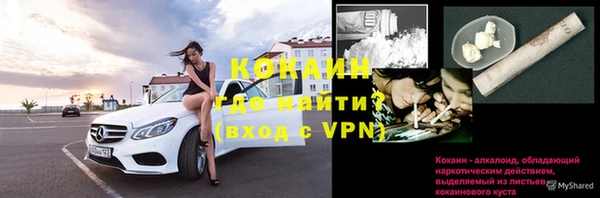 стафф Аркадак