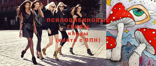 стафф Аркадак