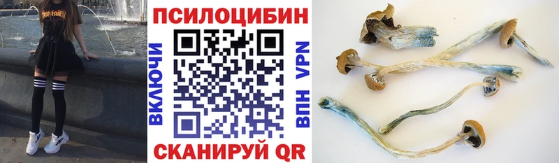 Галлюциногенные грибы GOLDEN TEACHER  что такое наркотик  Стрежевой 